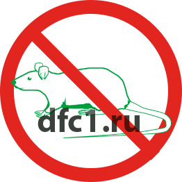 Уничтожение крыс в Сызрани